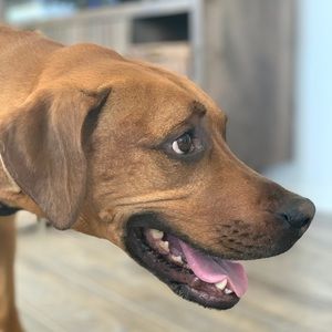 Meet your Posher, Brooke